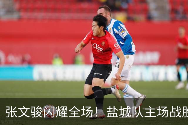 张文骏闪耀全场！盐城队主场战胜宿迁队